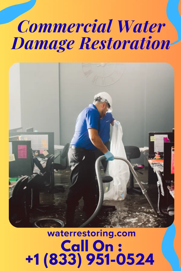 Commercial Water Damage Restoration in Big Sandy, MT