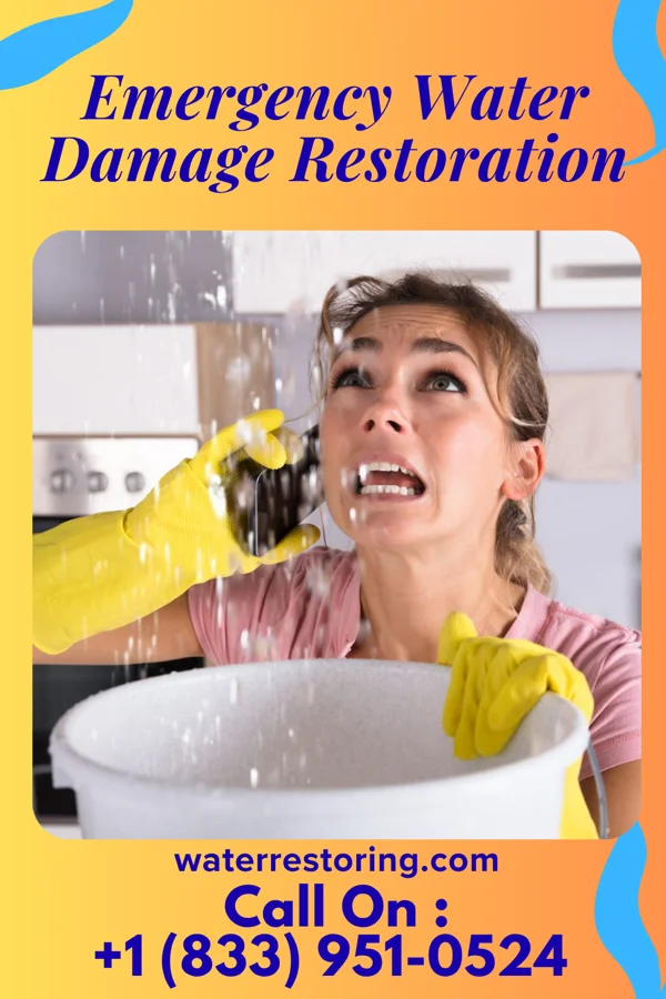 Emergency Water Damage Restoration in Big Sandy, MT