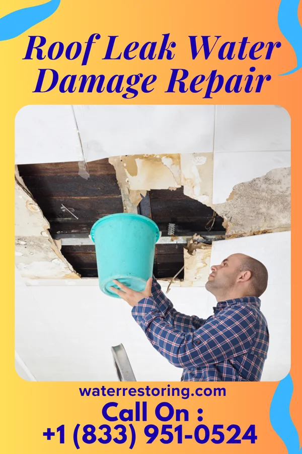 Roof Leak Water Damage Repair in Big Sandy, MT