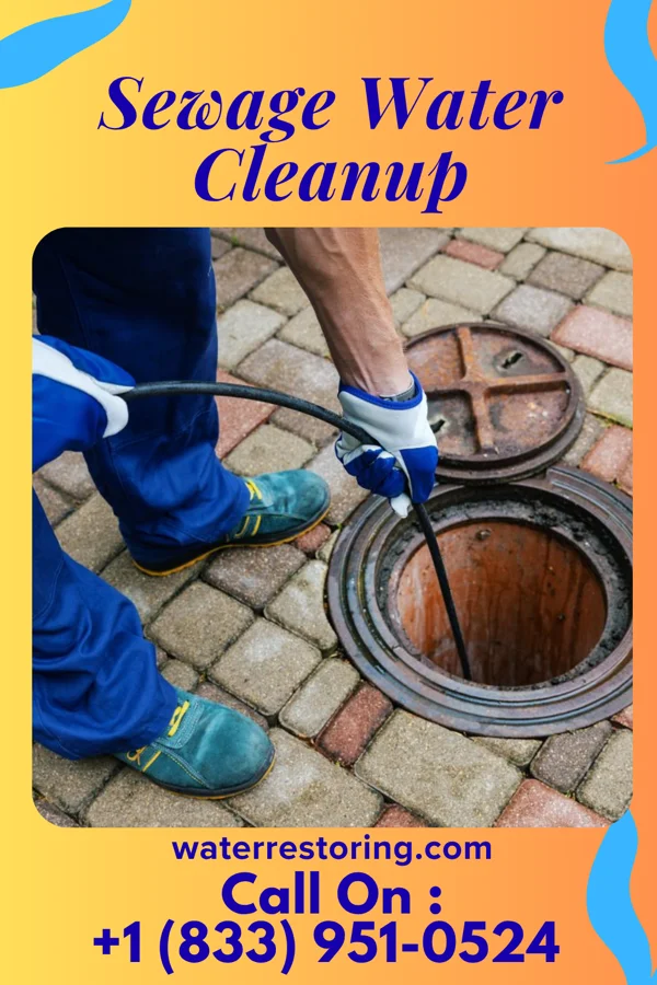 Sewage Water Cleanup in Big Sandy, MT